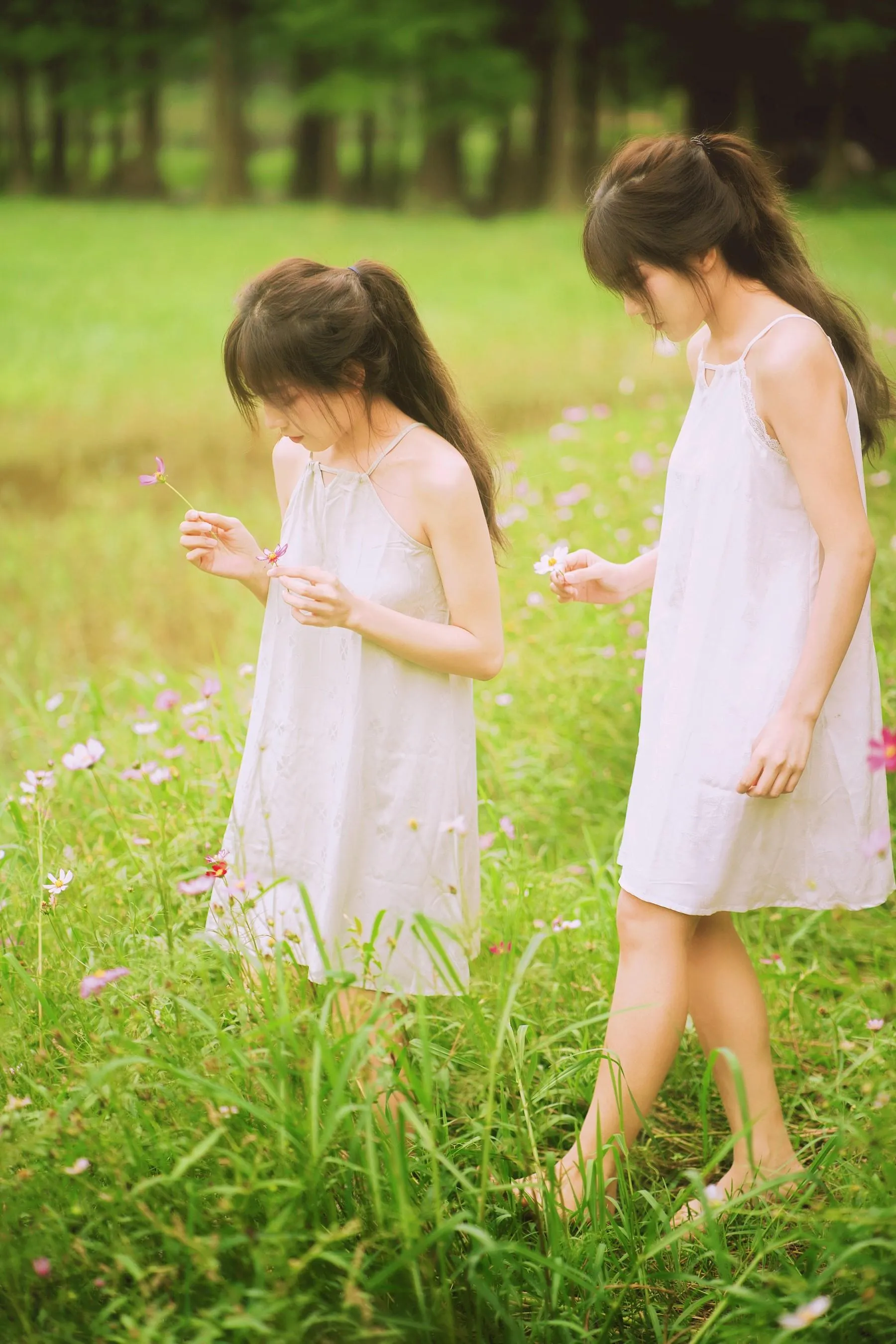 [艺图语] 2022.06.19 绿野仙踪 沐菡 [23P]插图3